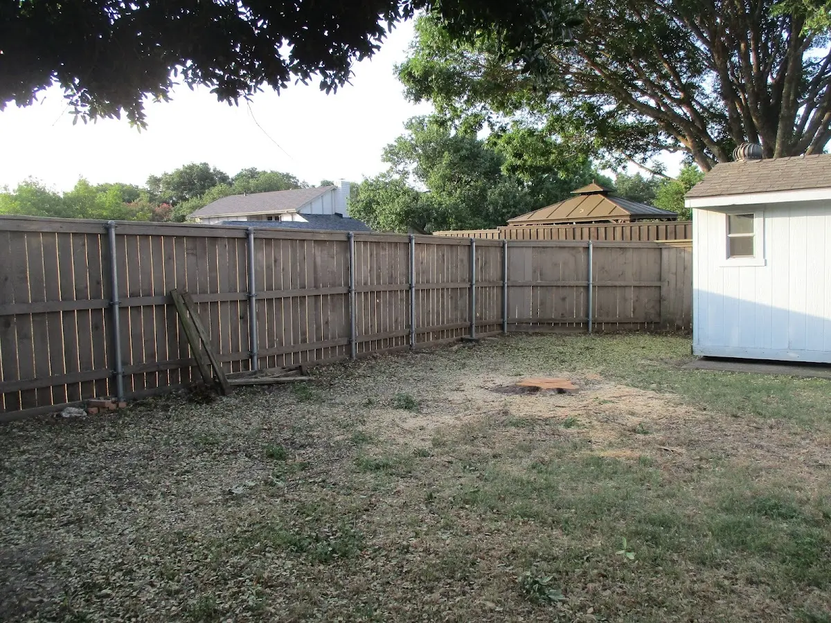 Cleared yard after professional tree removal in Green Pond