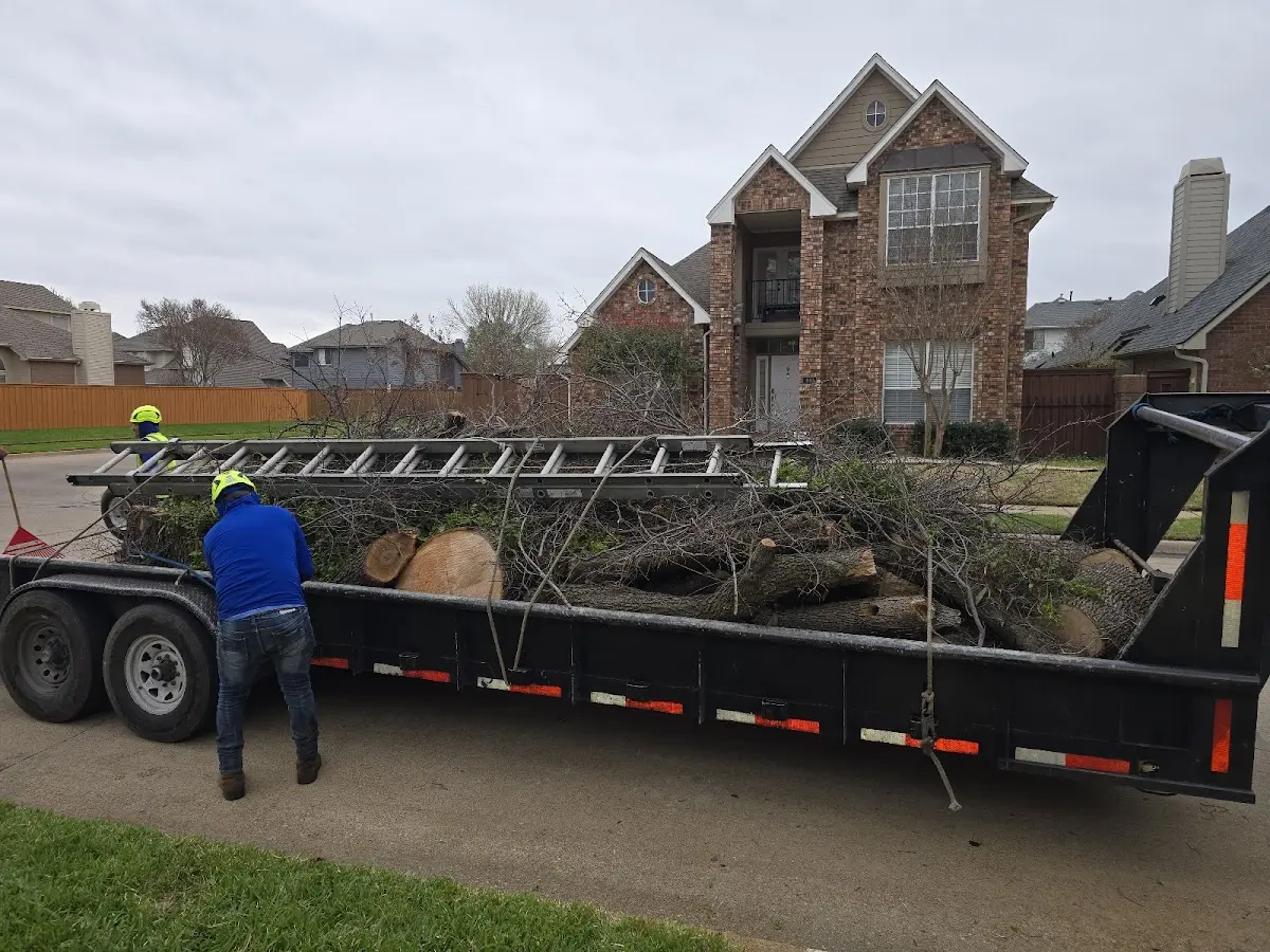 Expert Tree Removal with proper safety equipment in Green Pond
